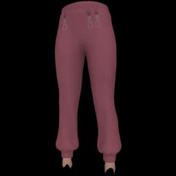 clothes/female/legs/2255/0.webp