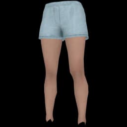clothes/female/legs/2256/5.webp