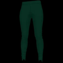 clothes/female/legs/2283/2.webp