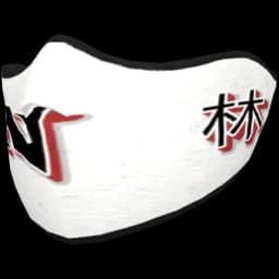 clothes/female/mask/2095/1.webp
