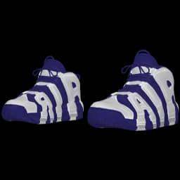 clothes/female/shoes/2035/4.webp