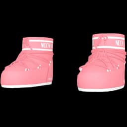 clothes/female/shoes/2099/7.webp
