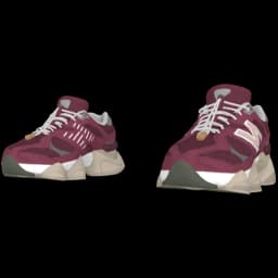 clothes/female/shoes/2145/13.webp