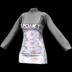 clothes/female/top/2119/11.webp