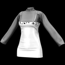clothes/female/top/2119/8.webp