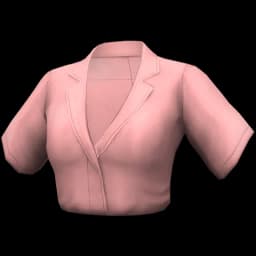 clothes/female/top/2120/4.webp