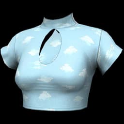 clothes/female/top/2124/12.webp
