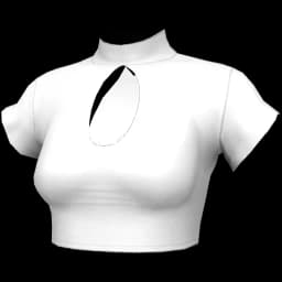 clothes/female/top/2124/2.webp