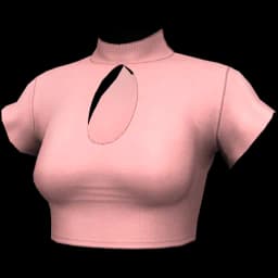 clothes/female/top/2124/5.webp