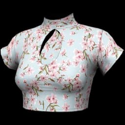 clothes/female/top/2124/8.webp