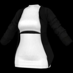 clothes/female/top/2136/45.webp