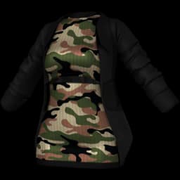 clothes/female/top/2136/60.webp