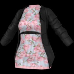 clothes/female/top/2136/67.webp
