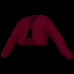 clothes/female/top/2167/13.webp