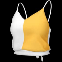 clothes/female/top/2202/5.webp