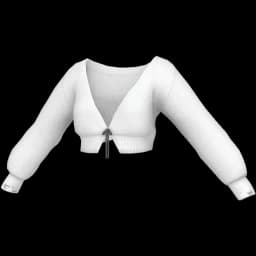 clothes/female/top/2393/0.webp