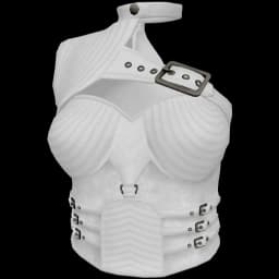 clothes/female/top/2471/4.webp