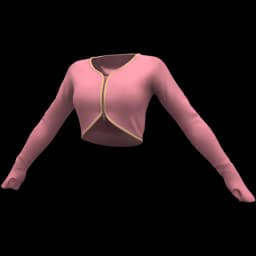 clothes/female/top/2519/2.webp