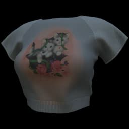 clothes/g8v3sinoz1w62r0b.webp