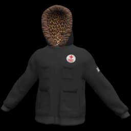 clothes/hv9zaqydbqicn640.webp