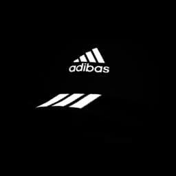 clothes/jvxrl9ignl7v0feh.webp