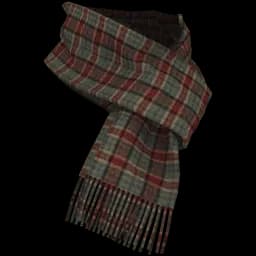 clothes/male/accessory/2066/0.webp
