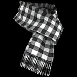 clothes/male/accessory/2066/2.webp