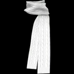 clothes/male/accessory/2067/0.webp