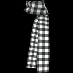 clothes/male/accessory/2067/10.webp