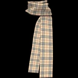 clothes/male/accessory/2067/21.webp