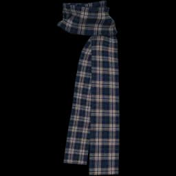 clothes/male/accessory/2067/22.webp