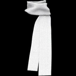 clothes/male/accessory/2067/5.webp