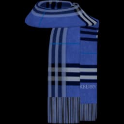 clothes/male/accessory/2143/5.webp