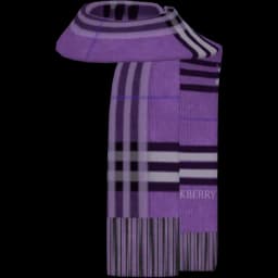 clothes/male/accessory/2143/9.webp