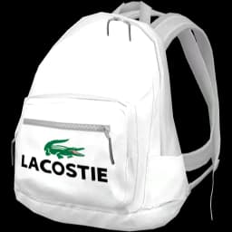 clothes/male/bag/2001/2.webp