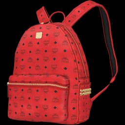 clothes/male/bag/2003/2.webp