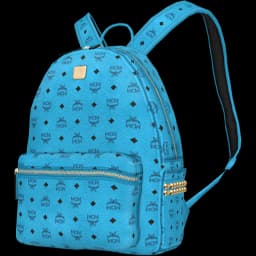 clothes/male/bag/2003/4.webp