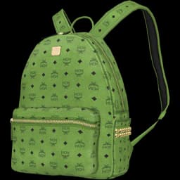 clothes/male/bag/2003/6.webp