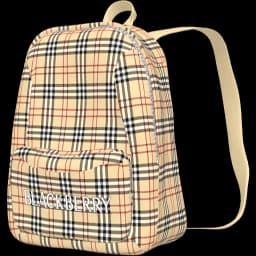 clothes/male/bag/2011/2.webp