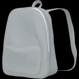 clothes/male/bag/2011/3.webp