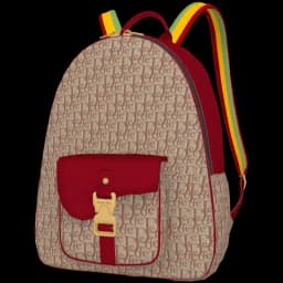 clothes/male/bag/2087/5.webp