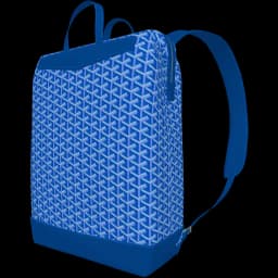 clothes/male/bag/2097/5.webp