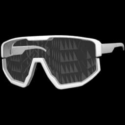clothes/male/glasses/2009/0.webp