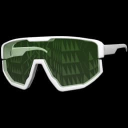 clothes/male/glasses/2009/1.webp