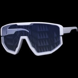 clothes/male/glasses/2009/14.webp