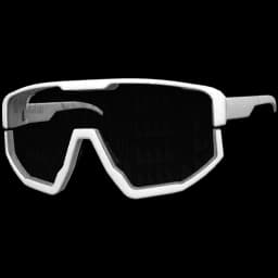 clothes/male/glasses/2009/2.webp