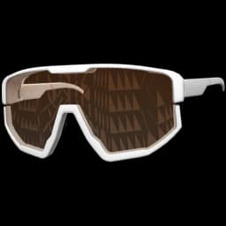 clothes/male/glasses/2009/4.webp