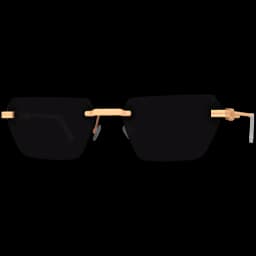 clothes/male/glasses/2023/0.webp