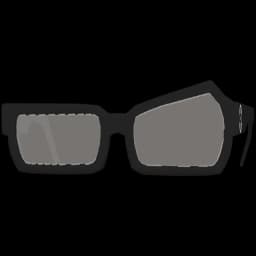 clothes/male/glasses/2025/0.webp