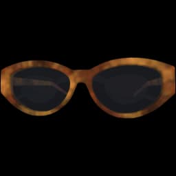 clothes/male/glasses/2042/0.webp